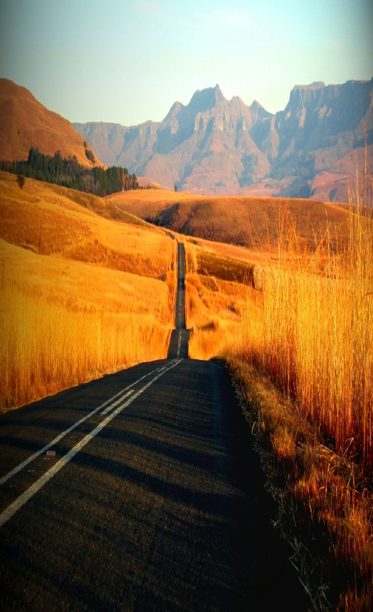 http://www.searchnetworxbusinesses.co.za/9205564/files/2012/07/bg1.jpg